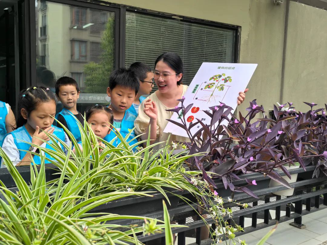 【向恒•德育】手植书香 共筑绿梦——记石湖中学阅读进社区之科普种植活动